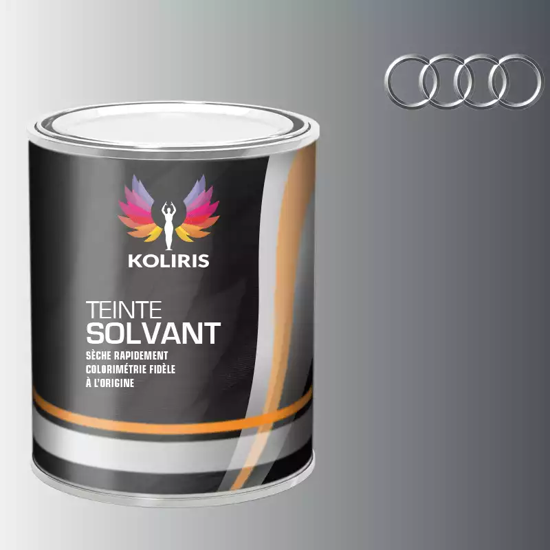 Peinture voiture solvant Audi