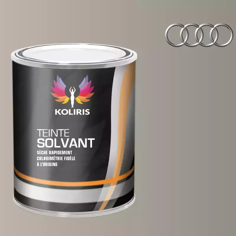 Peinture voiture solvant Audi