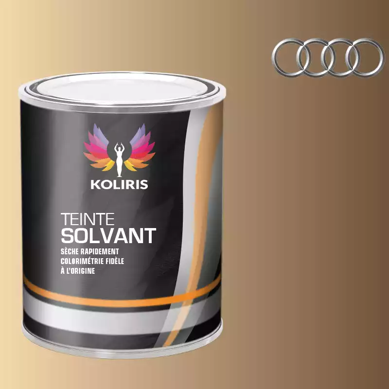 Peinture voiture solvant Audi