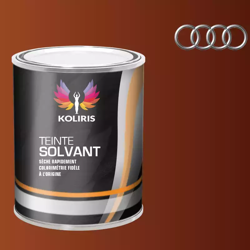 Peinture voiture solvant Audi