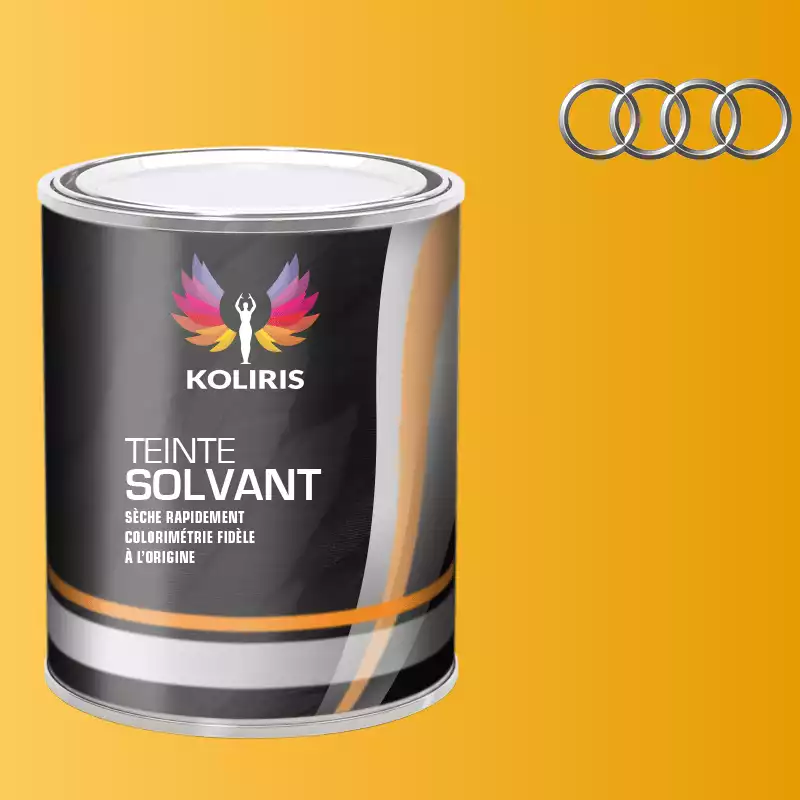 Peinture voiture solvant Audi