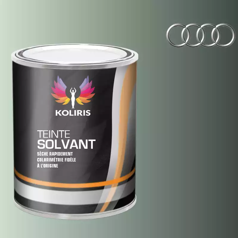 Peinture voiture solvant Audi