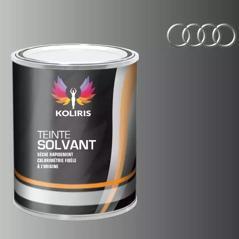 Peinture voiture solvant Audi