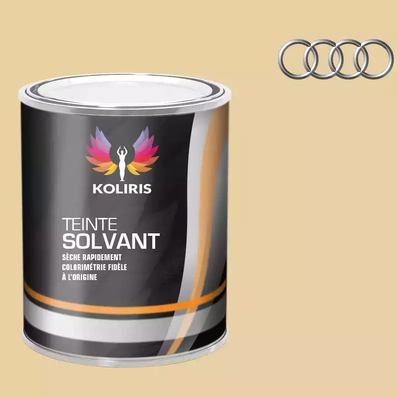 Peinture voiture solvant Audi