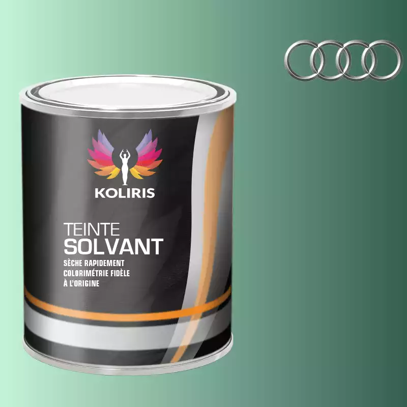 Peinture voiture solvant Audi