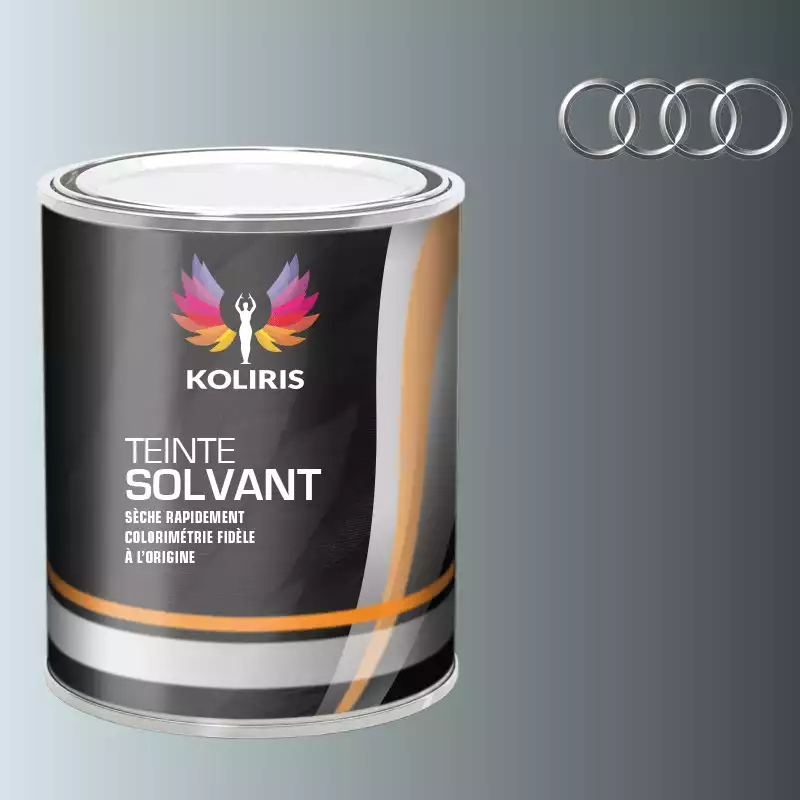 Peinture voiture solvant Audi