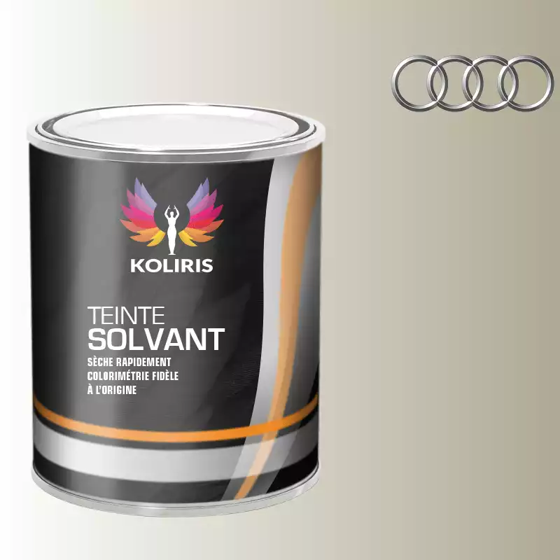 Peinture voiture solvant Audi