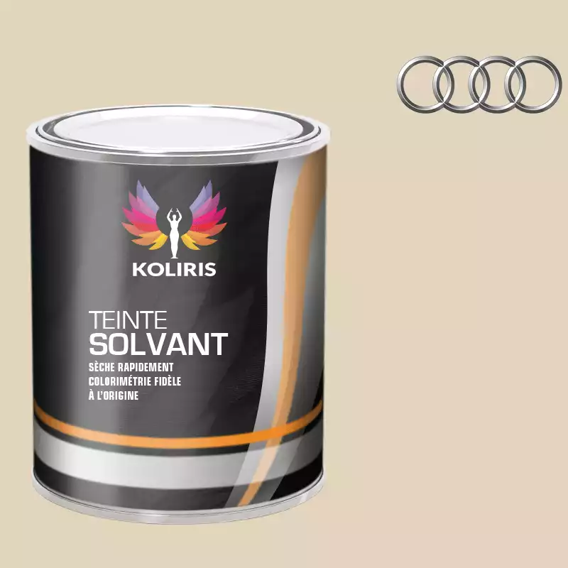 Peinture voiture solvant Audi