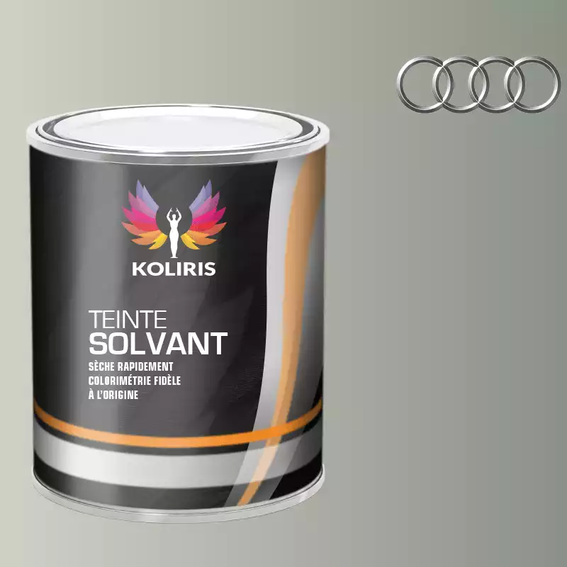 Peinture voiture solvant Audi