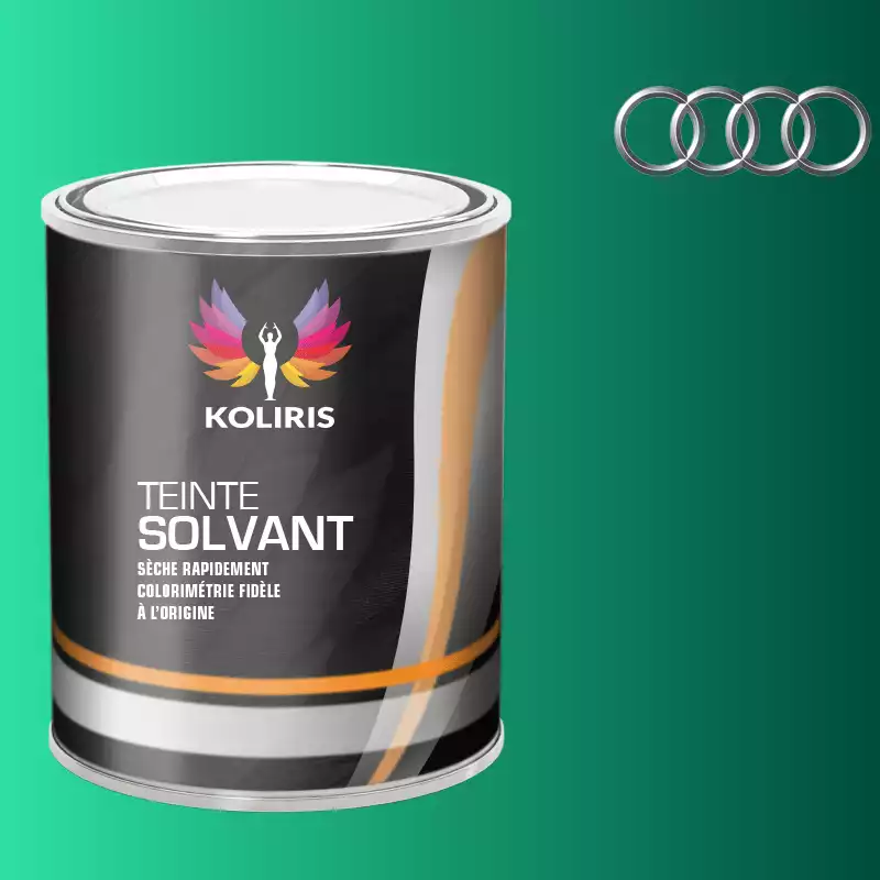 Peinture voiture solvant Audi