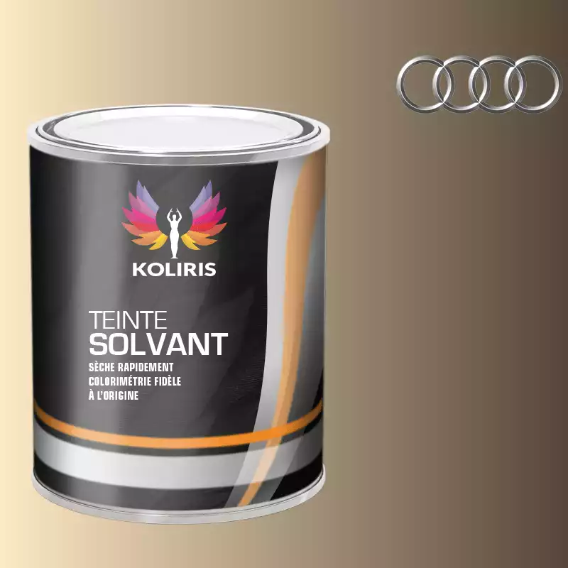 Peinture voiture solvant Audi