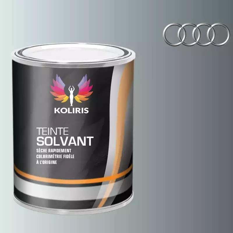 Peinture voiture solvant Audi