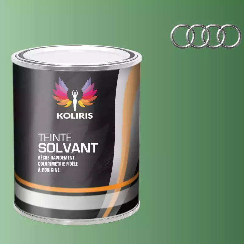 Peinture voiture solvant Audi