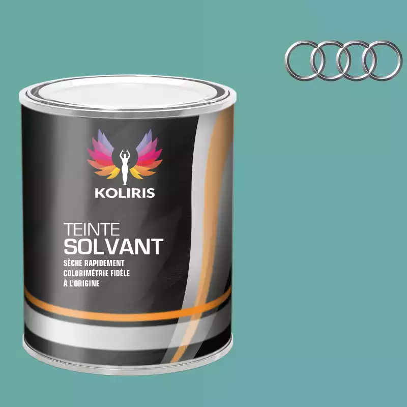 Peinture voiture solvant Audi