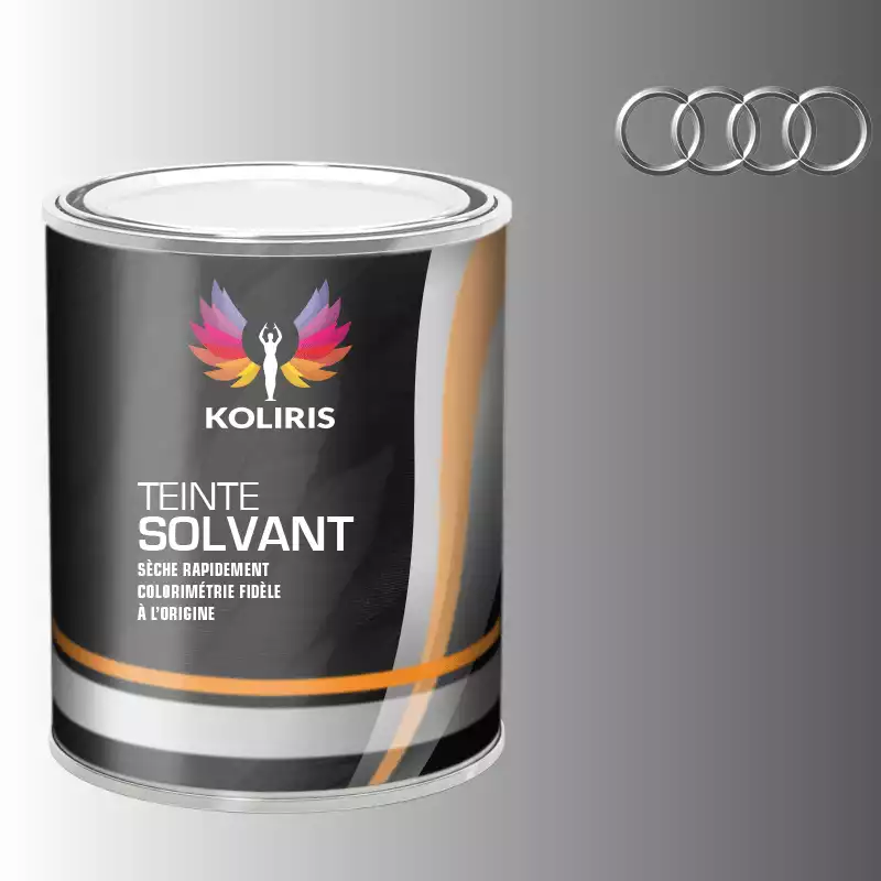 Peinture voiture solvant Audi