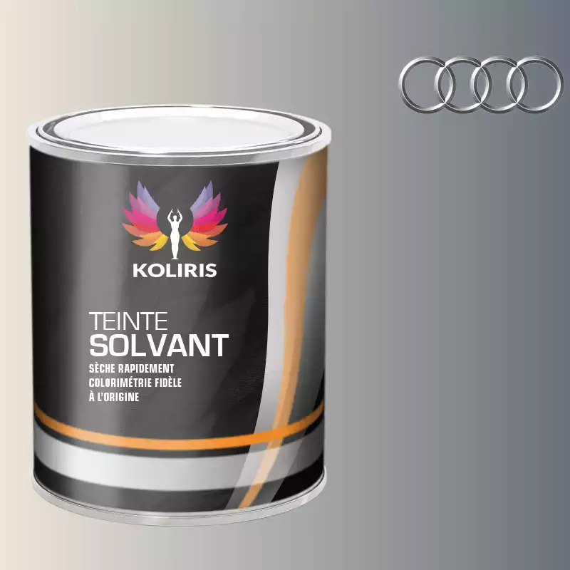 Peinture voiture solvant Audi