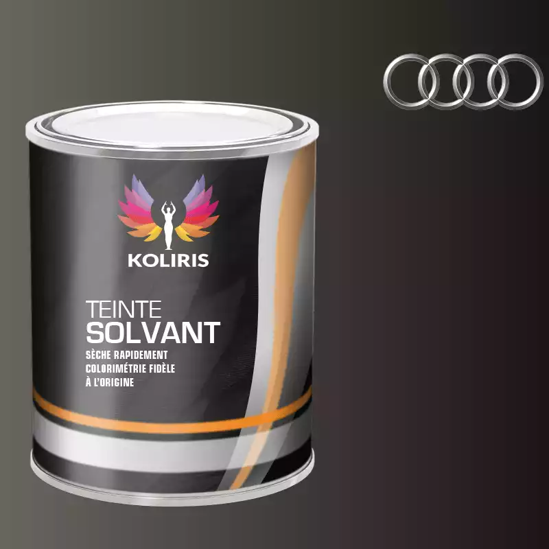 Peinture voiture solvant Audi