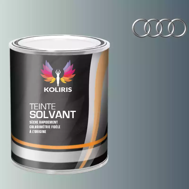 Peinture voiture solvant Audi