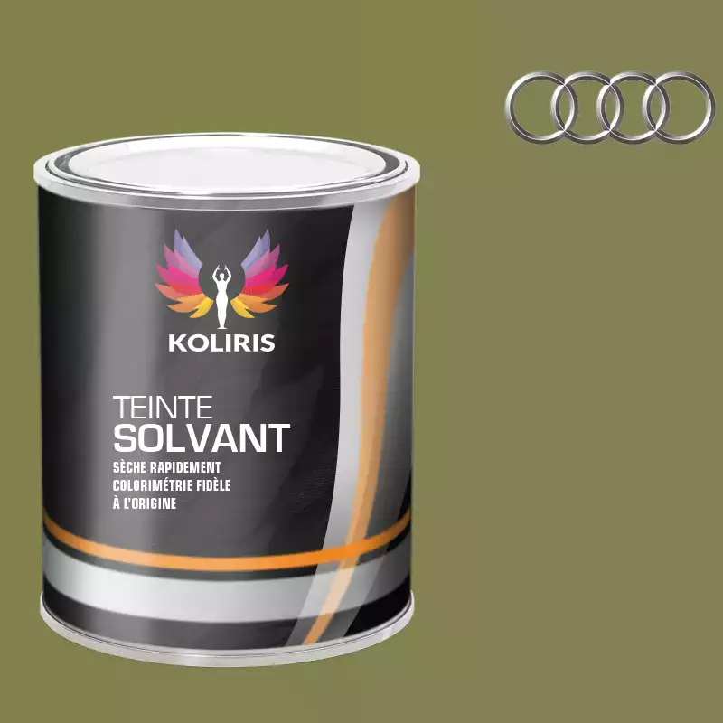 Peinture voiture solvant Audi