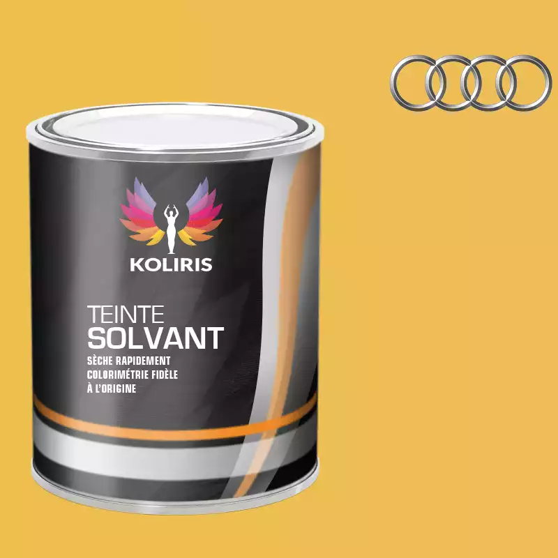 Peinture voiture solvant Audi