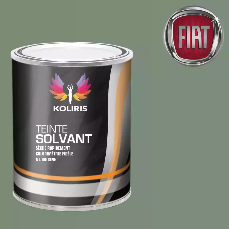 Peinture voiture solvant Fiat