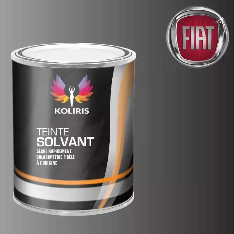 Peinture voiture solvant Fiat