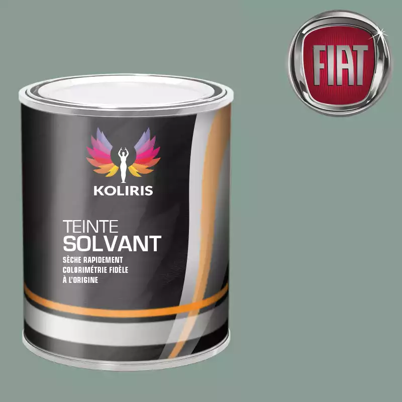 Peinture voiture solvant Fiat