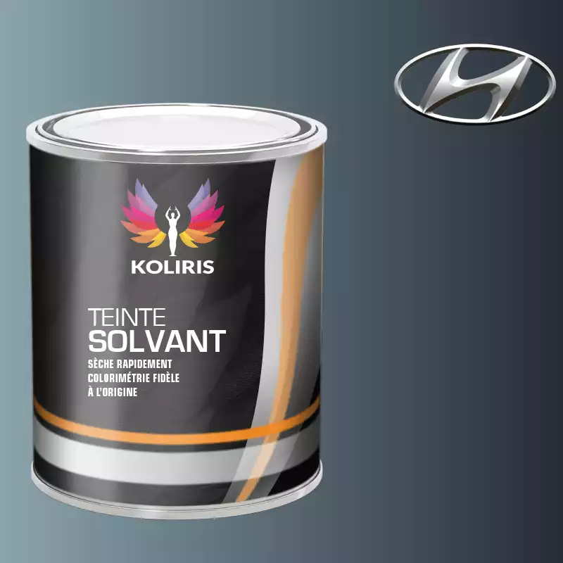 Peinture voiture solvant Hyundai