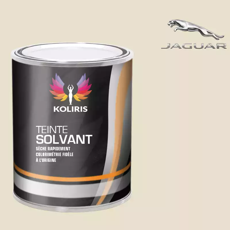 Peinture voiture solvant Jaguar