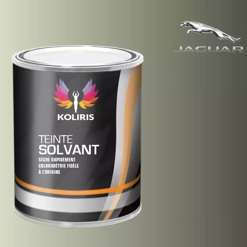 Peinture voiture solvant Jaguar