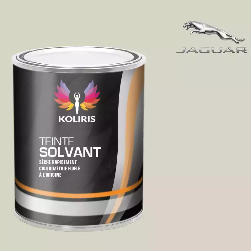 Peinture voiture solvant Jaguar