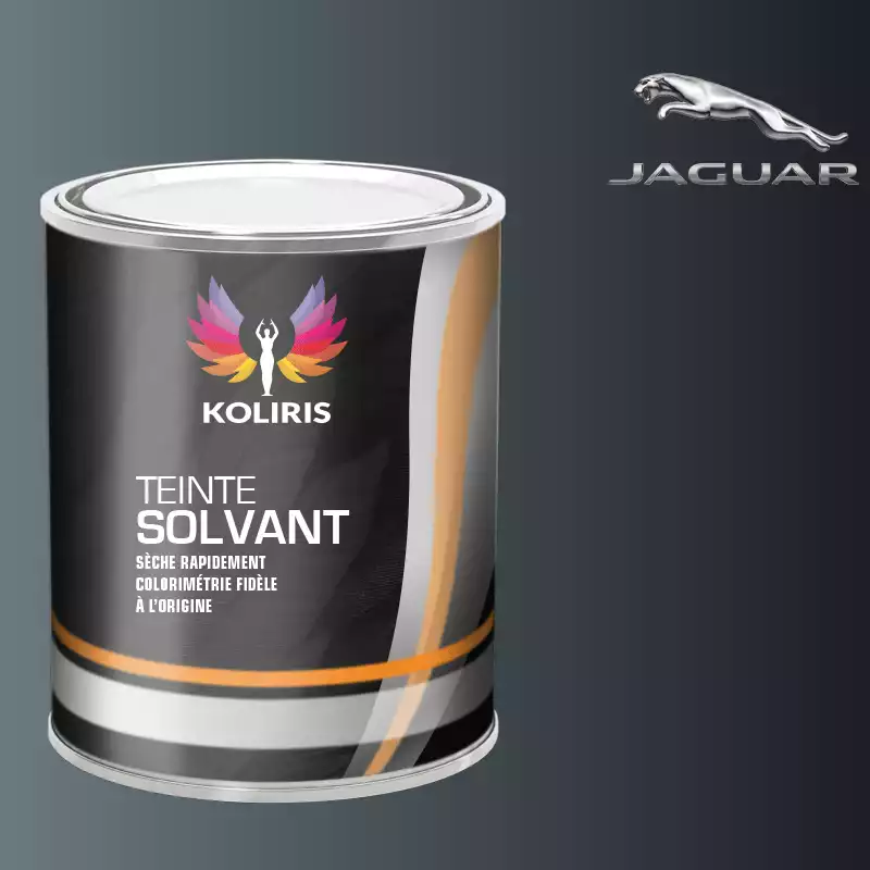 Peinture voiture solvant Jaguar