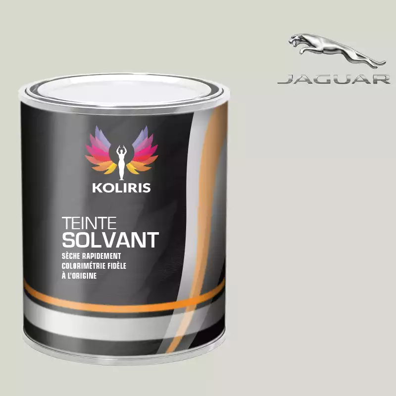 Peinture voiture solvant Jaguar