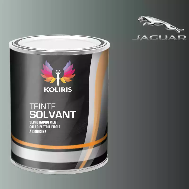 Peinture voiture solvant Jaguar