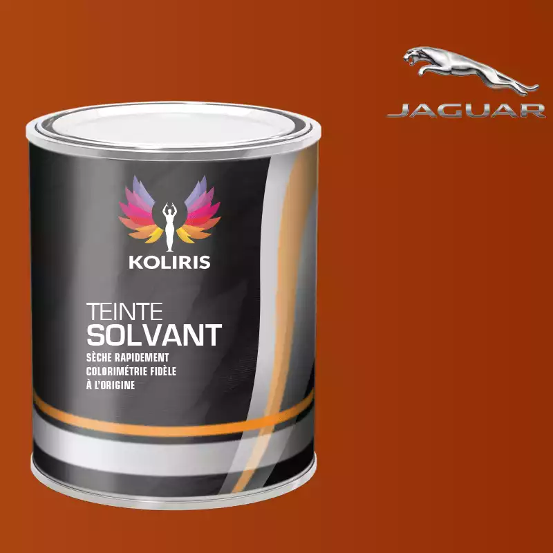 Peinture voiture solvant Jaguar