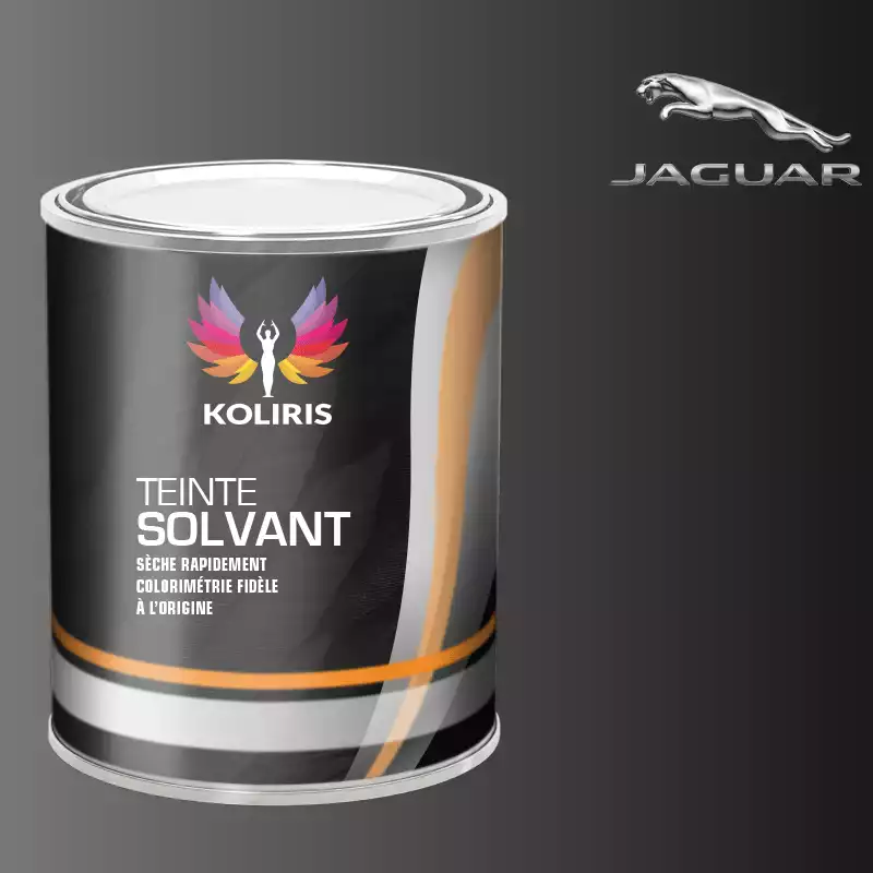 Peinture voiture solvant Jaguar