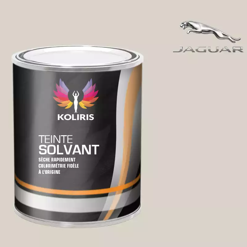 Peinture voiture solvant Jaguar