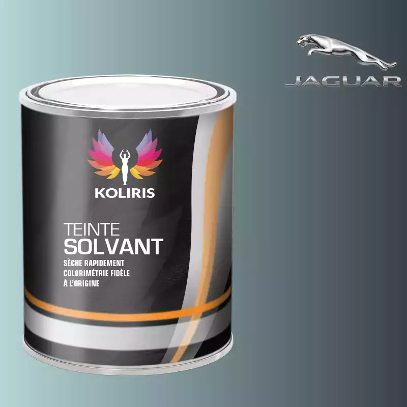 Peinture voiture solvant Jaguar