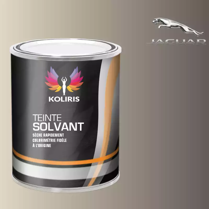 Peinture voiture solvant Jaguar