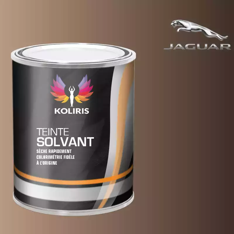 Peinture voiture solvant Jaguar