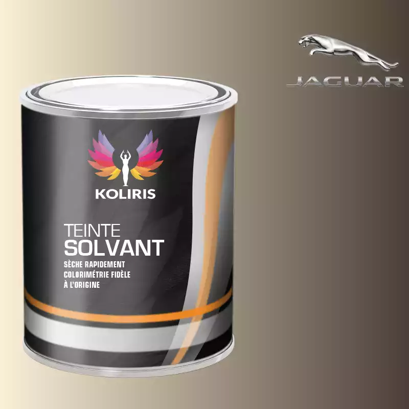 Peinture voiture solvant Jaguar