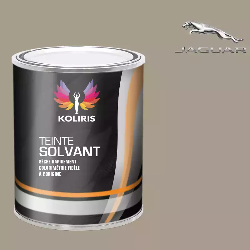 Peinture voiture solvant Jaguar