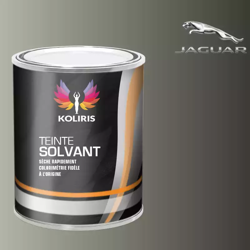 Peinture voiture solvant Jaguar