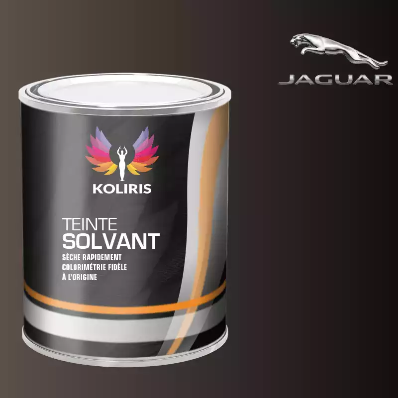 Peinture voiture solvant Jaguar