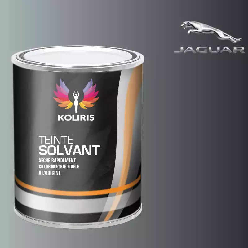 Peinture voiture solvant Jaguar