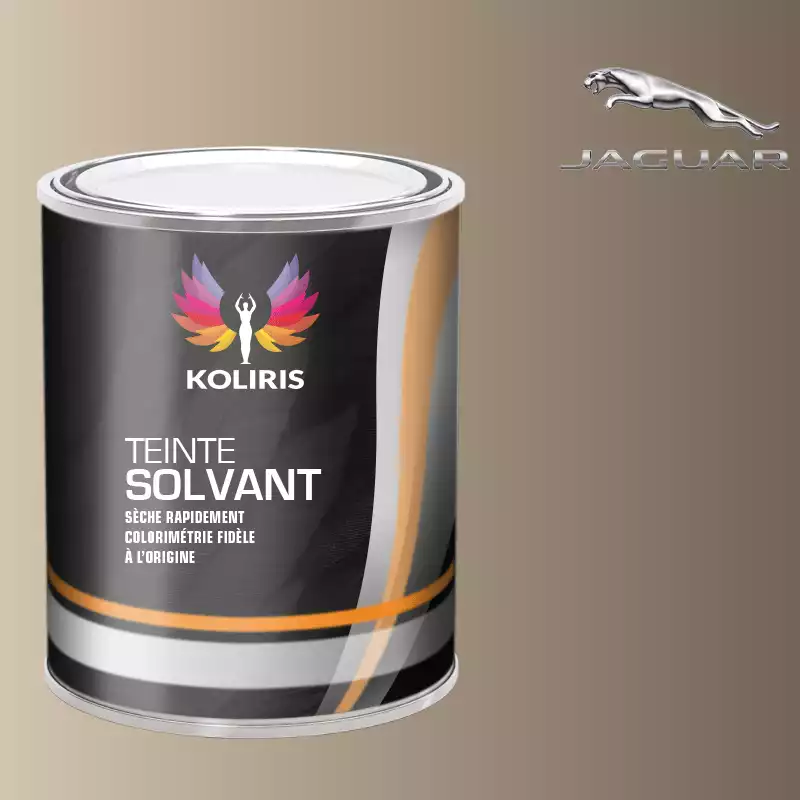 Peinture voiture solvant Jaguar