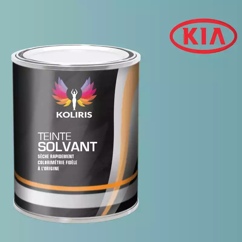 Peinture voiture solvant Kia