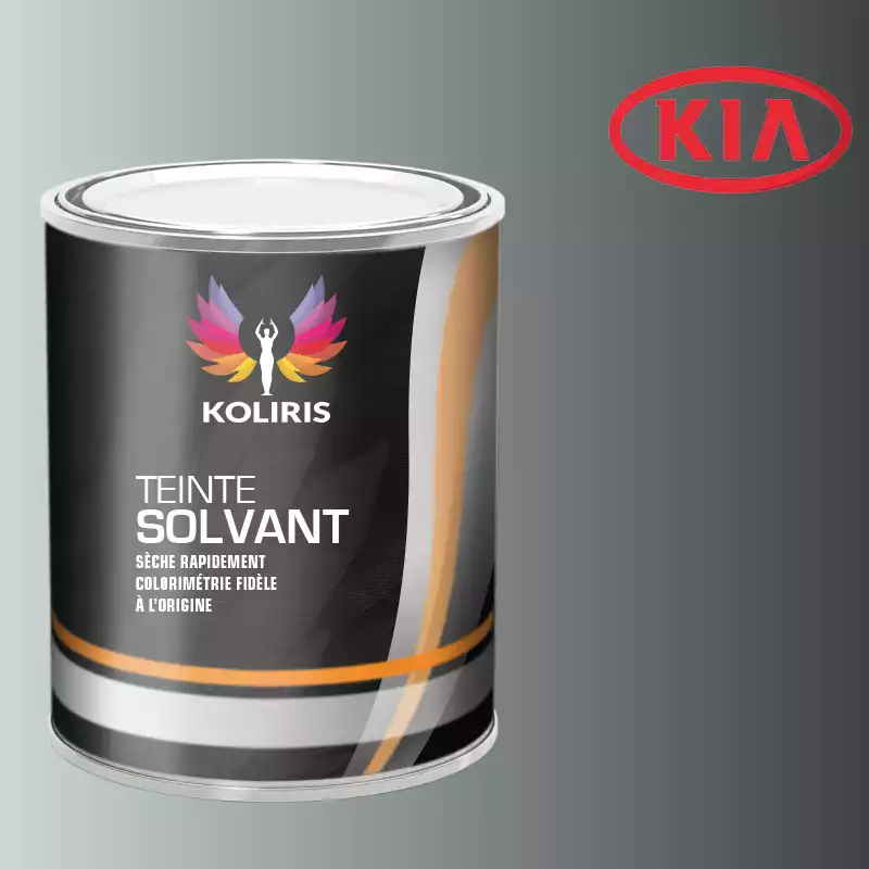 Peinture voiture solvant Kia