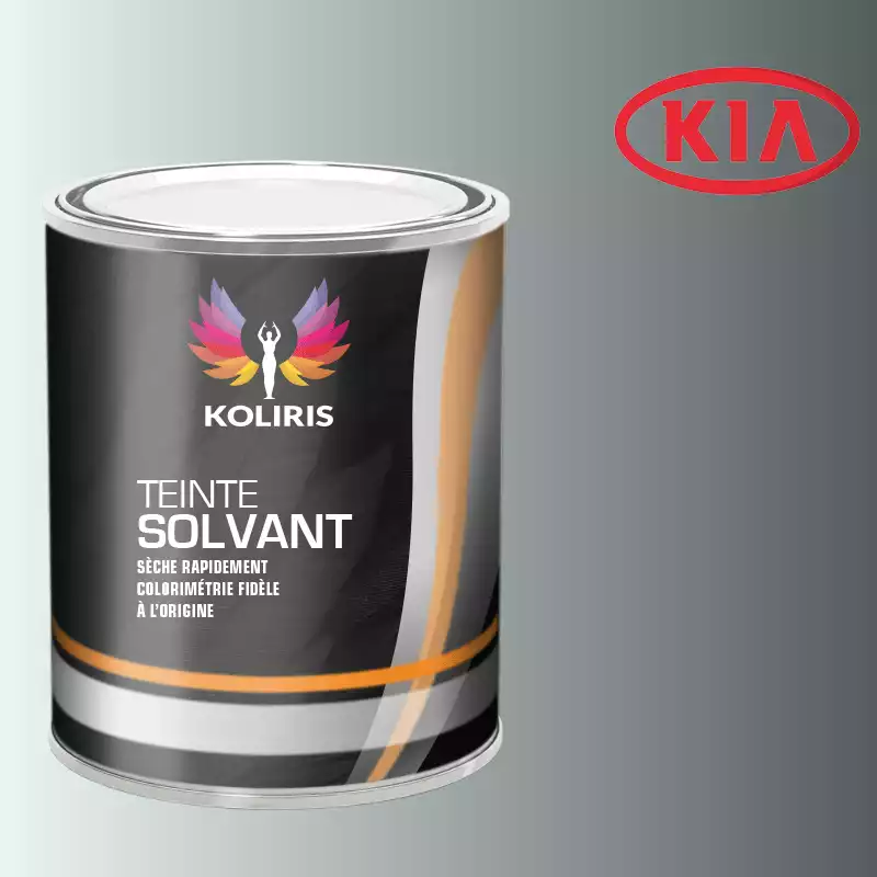 Peinture voiture solvant Kia