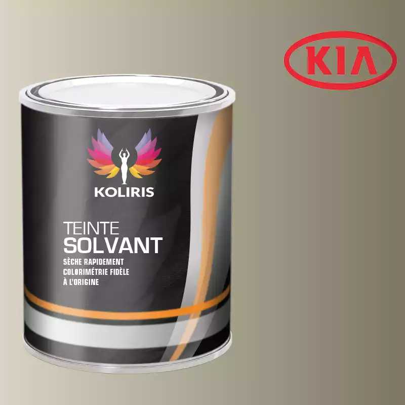 Peinture voiture solvant Kia